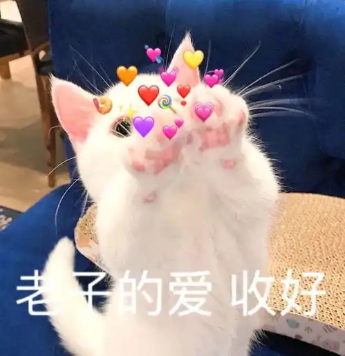约表情包杜蕾斯山猪