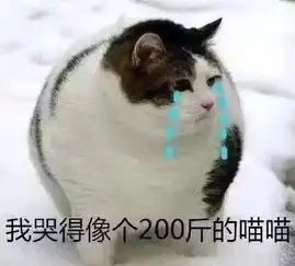 猫咪冲刺表情包翻到