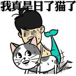  口袋妖怪复刻毁童年就是如此的愉悦你懂吗
