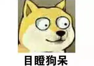  节目预告星光宝贝计划之宝鸡舞林大会特别节目下