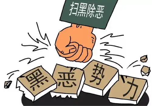  蒙城某黑恶势力覆灭记视频