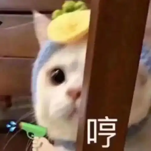 表情sir全家族对你很失望 表情sir全家族对你很失望