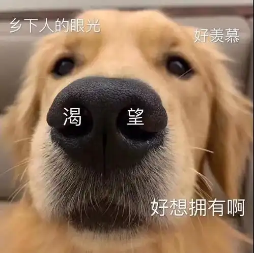  幽默笑话儿子说咋了,老妈这会不在家,你还想卖我不成