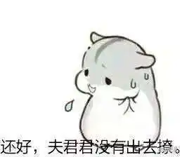  抖音小仓鼠高清无水印表情包合集超萌