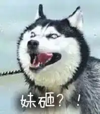表情包搞笑文字田里