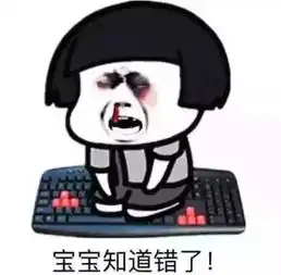 特别会生气的表情包老婆