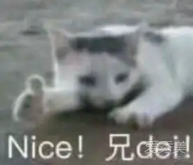  兄dei什么梗兄dei是哪里的方言兄dei表情包爱秀美