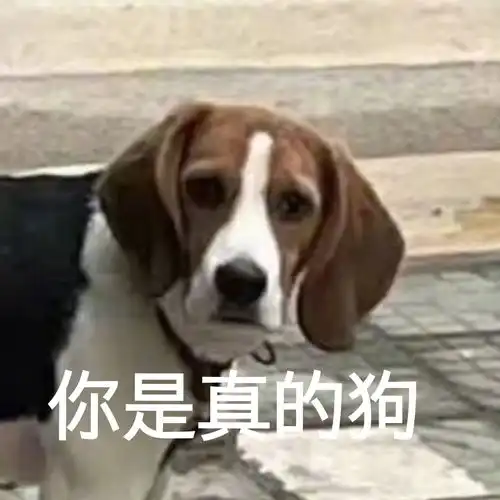  原创加水印惊还在上学的弟弟竟对姐姐说了这种话