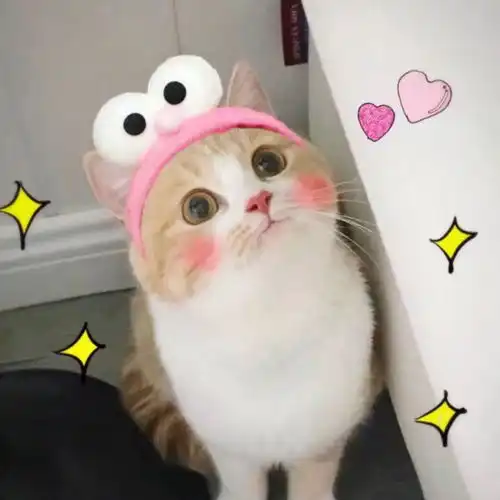  为什么有一些人割了双眼皮还是不好看