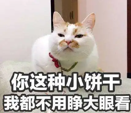  最近火了猫咪吃柠檬表情包,猫辣么乖,为什么要毒害朕