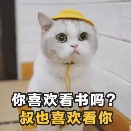  猫咪表情包情侣单人