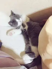  日本小哥晒网红小仙女,这生气的小表情让人想宠溺啊可爱到爆炸