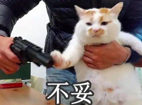担心表情包猫咪丁真