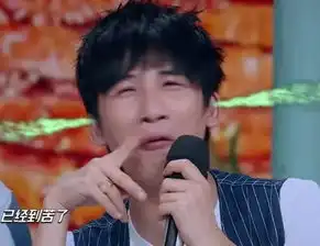  王一博天天向上亲手制作拍黄瓜,汪涵表示一言难尽