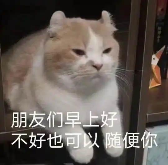  玫瑰沾白糖的相册天使猫猫的表情包
