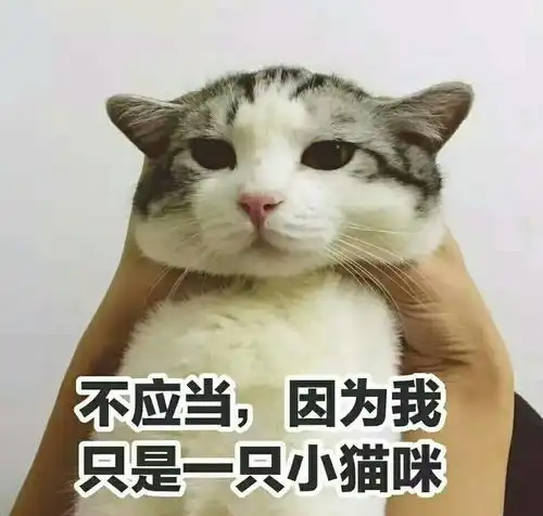 养饱荷包大作战几招拯救科院人的钱包