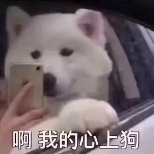  有没有狗的表情包