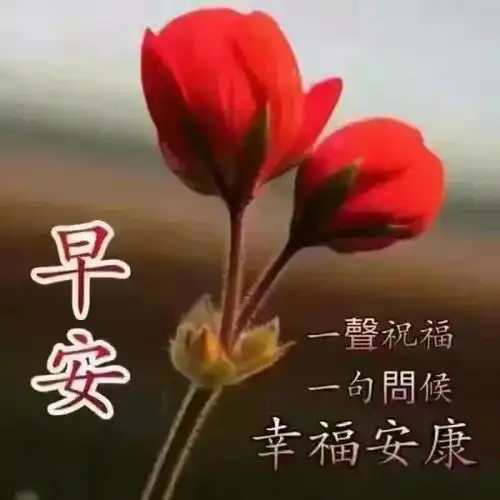  早上安康车子有油手机有电卡里有钱这就是安全感,早安