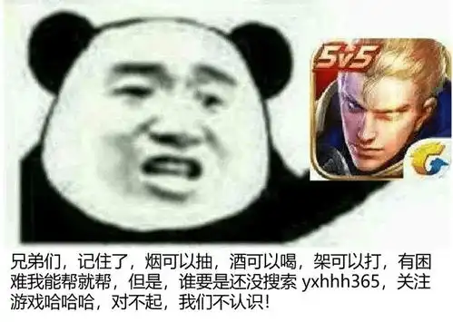  理性讨论,王者荣耀会有一天凉凉吗关服后永久皮肤怎么办