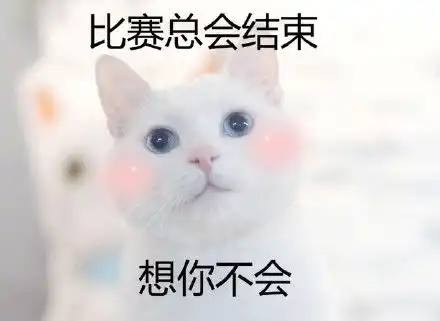 不要拦着我舔屏这些世界杯球迷小姐姐太惊艳了