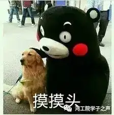  军训还有5秒到达战场,请做好准备...
