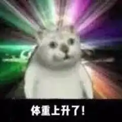  最近非常火的一组憨憨猫表情包奇怪的知识增涨,社会阅历上升了