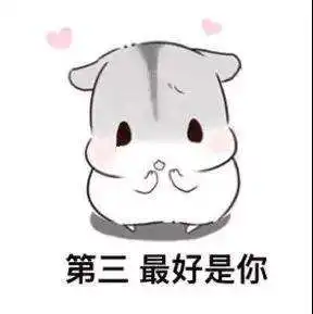  抖音仓鼠表白系列表情包你知道我的择偶标准吗套路图片大全