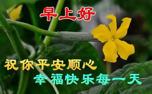  10月14日最漂亮早上好动态表情图片大全,早晨好美图大全