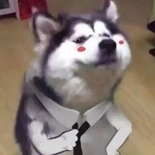 我只花了30块,就解决了90女生的春夏困扰 我只花了30块,就解决了90女生的春夏困扰