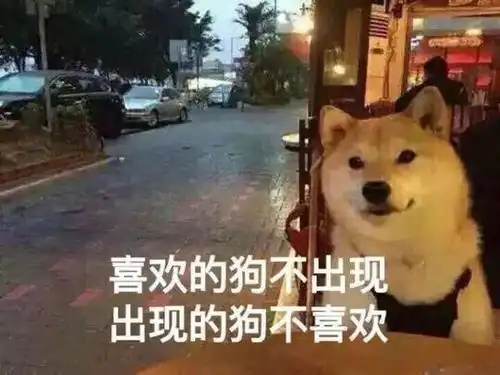  您有一份情人节单身狗定制表情包请查收