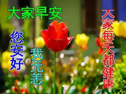  冬天早上好的问候语带图片套图微信早晨好祝福语录句子表情图片