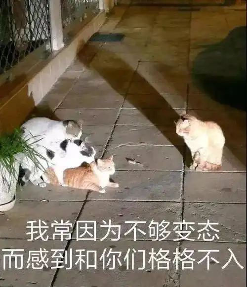  大学生六个隐藏特性,不准的话你来找我