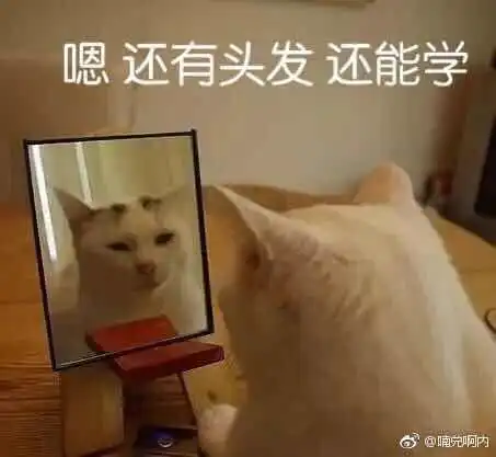 智霸艾泽拉斯全网开考魔兽冷知识,wower每周二准时作答