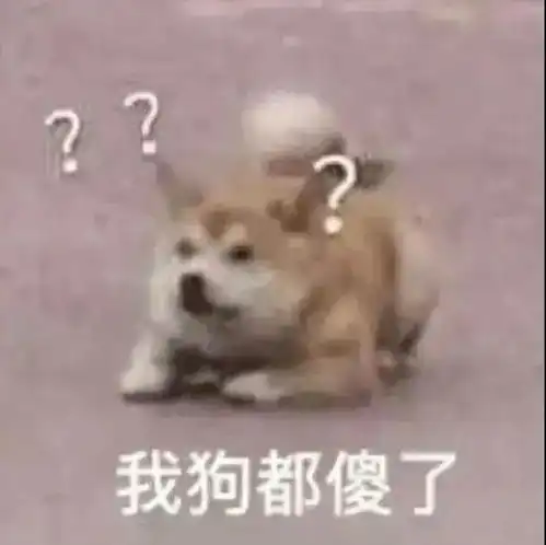  表情包只想做你一个人的舔狗