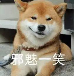  你猜为什么我会有那么多表情包因为我养了一只柴犬