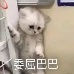  猫咪委屈表情包合集