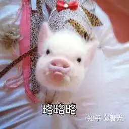  为什么别和潮流男孩谈恋爱