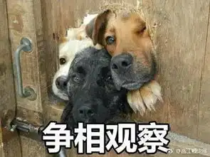  看现场丨奇葩他以为这场电梯内的抢劫很顺利地完成了可是...