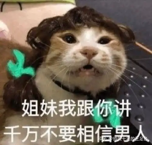 真德秀表情包单身