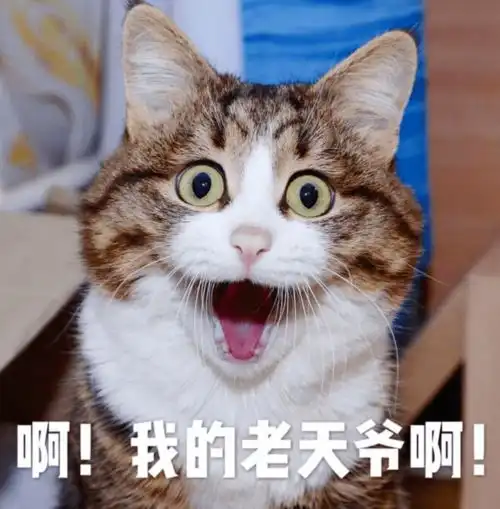  2019年雅思官方考试数据中国考生的口语竟然是这个水平