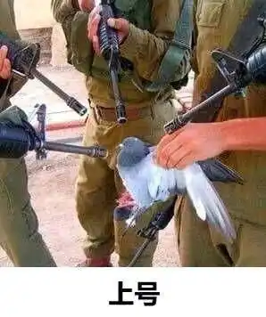  单身好还是单身好亦或者单身有多好