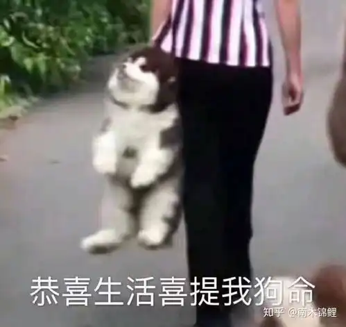  为什么网上的人工资都这么高