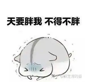  谈谈我怎么在两个月内从100瘦到90斤