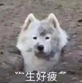  无内鬼,快来收图