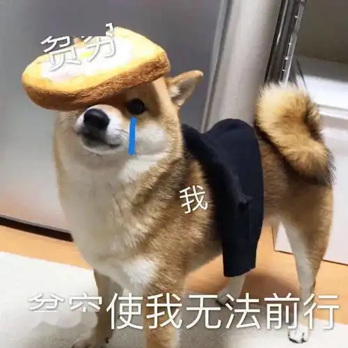 心理学考研数千人考研预报名失败如何确认自己报名成功 心理学考研数千人考研预报名失败如何确认自己报名成功