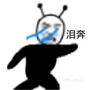  关于ou各种宝可梦的地雷配置