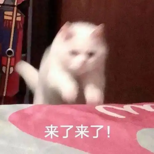  沙雕表情给你的脑子排排水