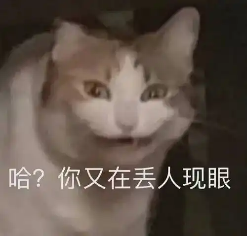 懂了表情包动图生活标准