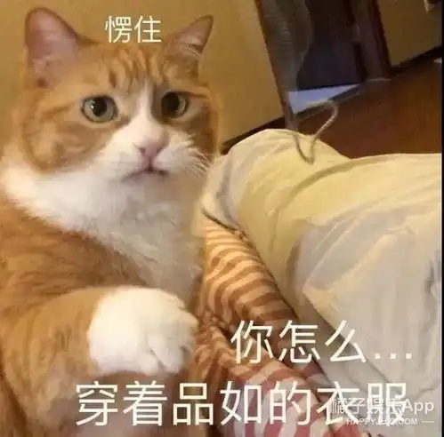 肖战易烊千玺跳nobody,任嘉伦可可爱爱学猫叫,本女生真汗颜了 肖战易烊千玺跳nobody,任嘉伦可可爱爱学猫叫,本女生真汗颜了