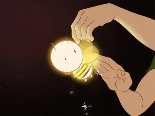  广州哪里有宠物店可以买到美短虎斑猫的